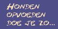Honden Workshops